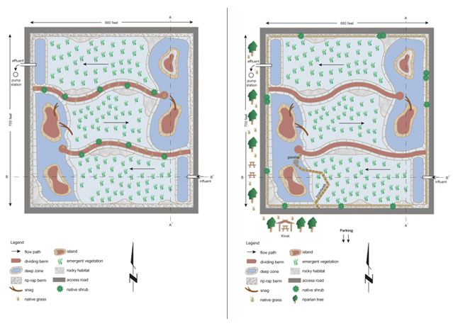 Wetland Waste Treatment